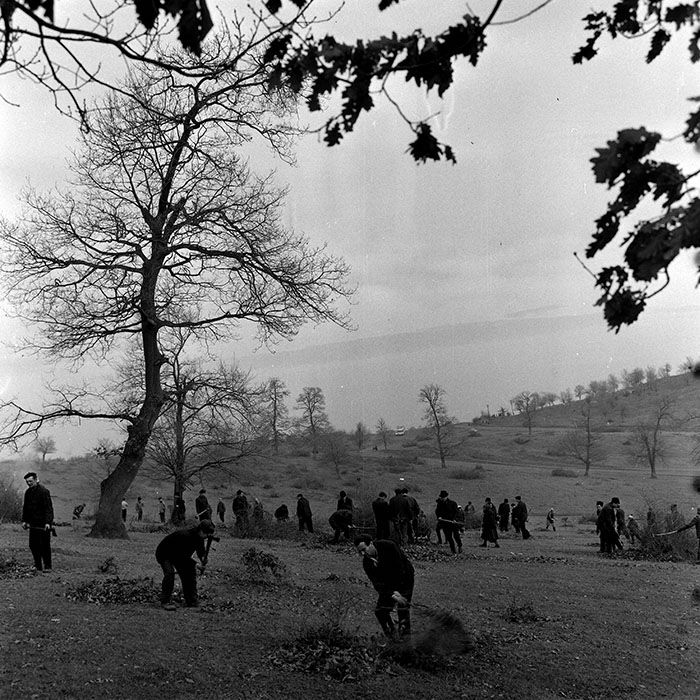 minerva_1978_c2_c6r5_001