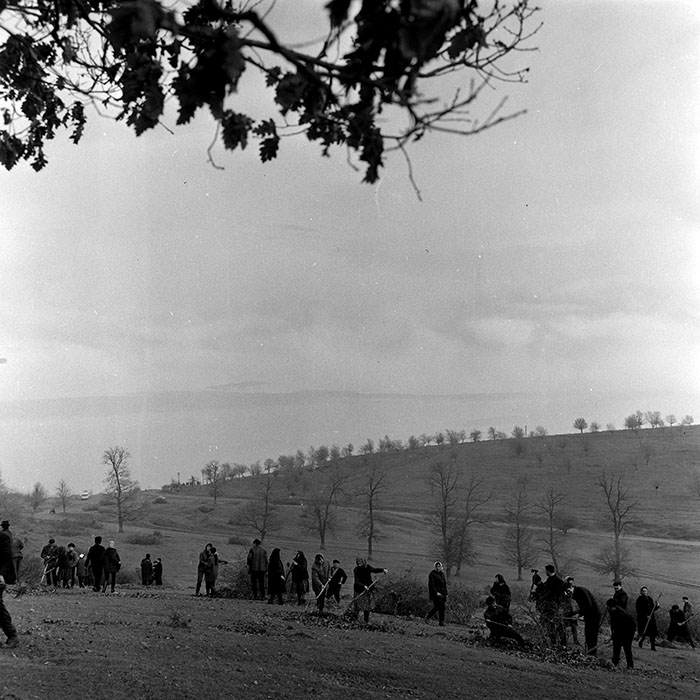 minerva_1978_c2_c6r5_002