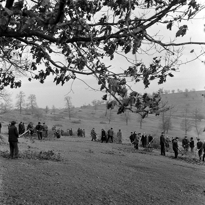 minerva_1978_c2_c6r5_003