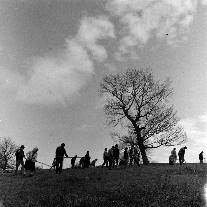 minerva_1978_c2_c6r5_005