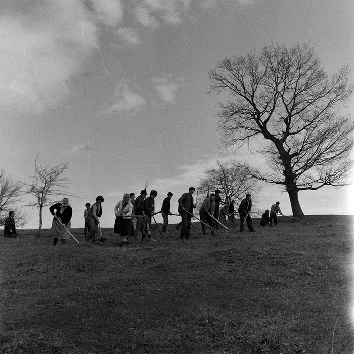 minerva_1978_c2_c6r5_007