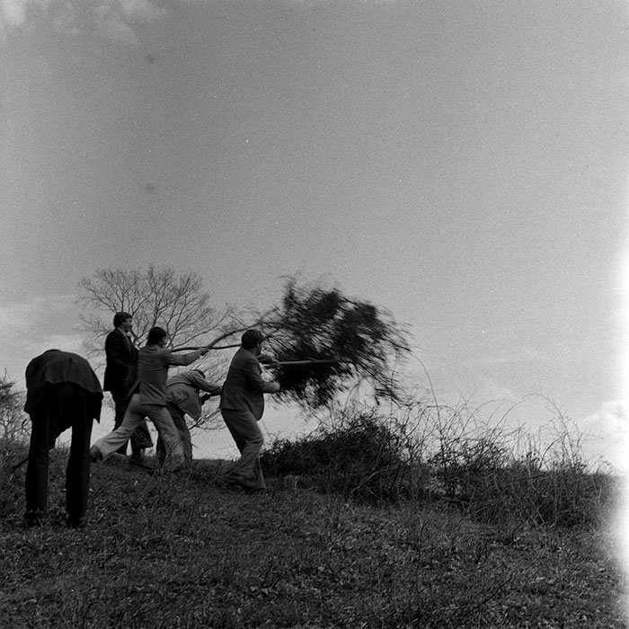 minerva_1978_c2_c6r5_008