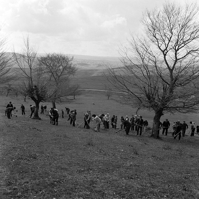 minerva_1978_c2_c6r5_012