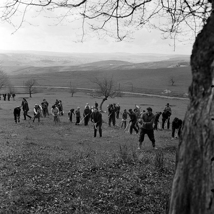 minerva_1978_c2_c6r5_014