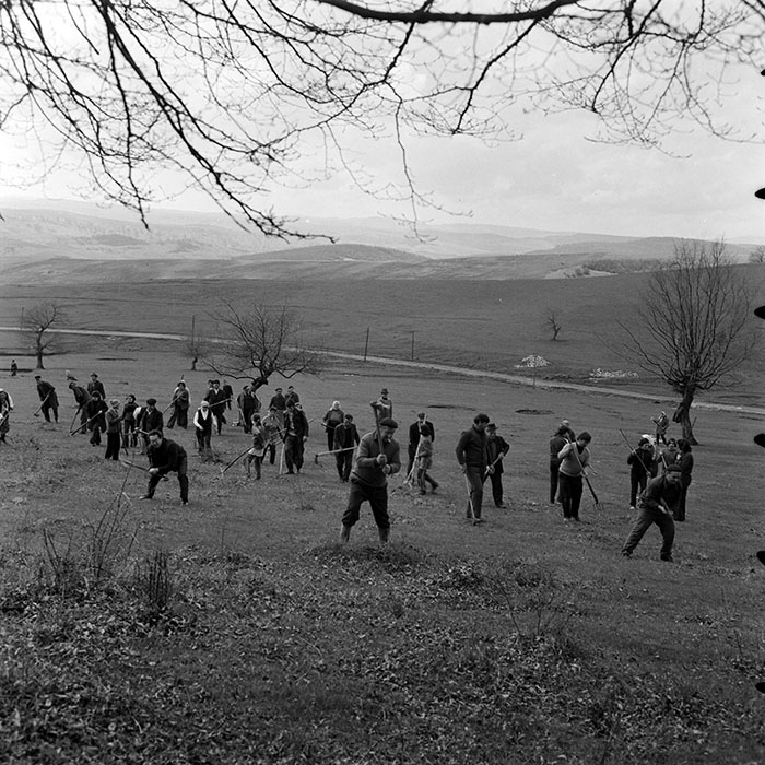 minerva_1978_c2_c6r5_015