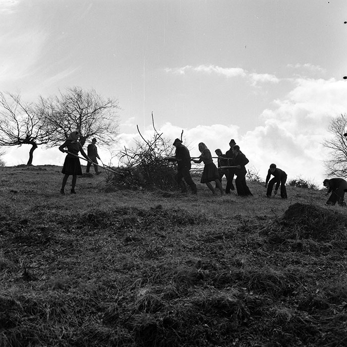 minerva_1978_c2_c6r5_017