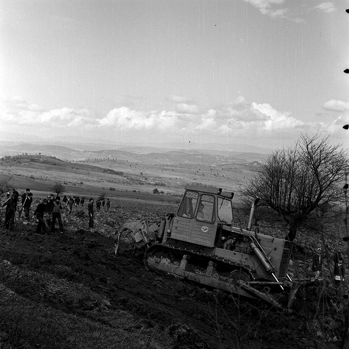 minerva_1978_c2_c6r5_020