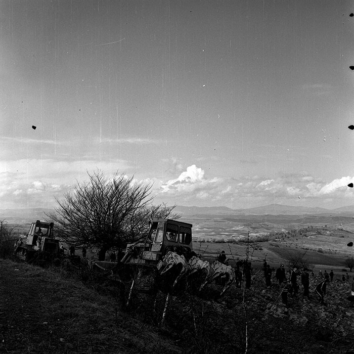 minerva_1978_c2_c6r5_021