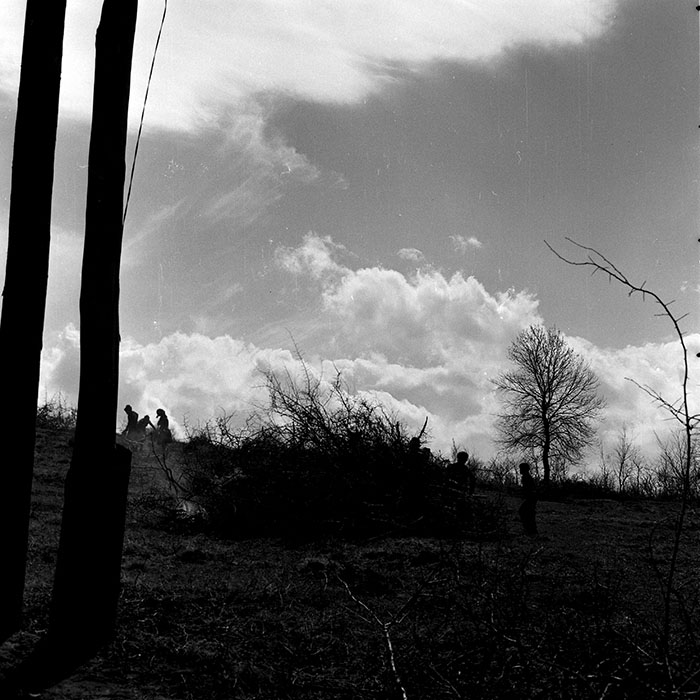 minerva_1978_c2_c6r5_023