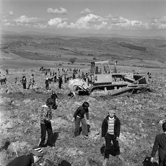 minerva_1978_c2_c6r5_024