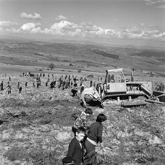 minerva_1978_c2_c6r5_025