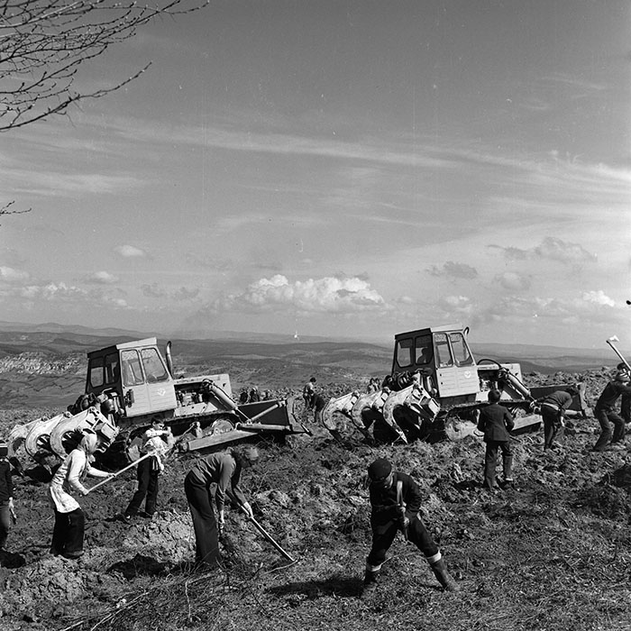 minerva_1978_c2_c6r5_027