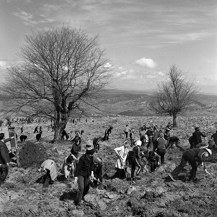 minerva_1978_c2_c6r5_029