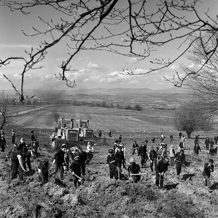 minerva_1978_c2_c6r5_030