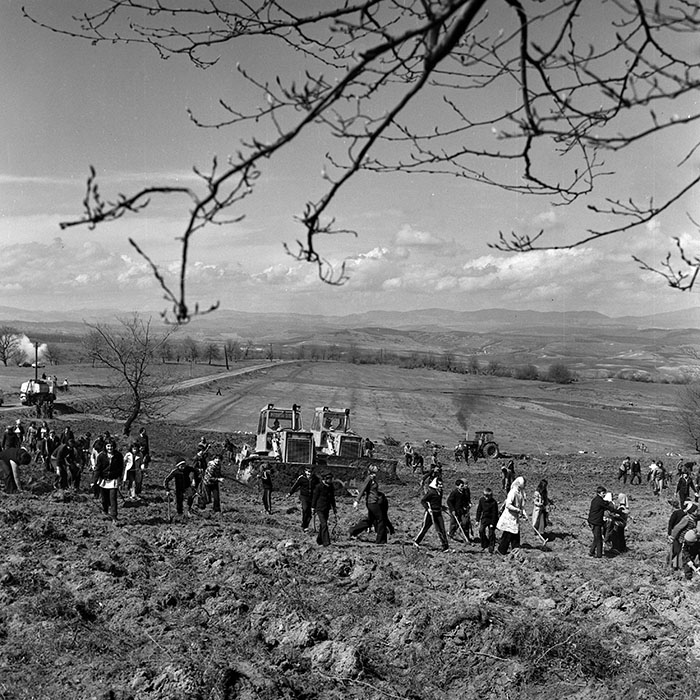 minerva_1978_c2_c6r5_031