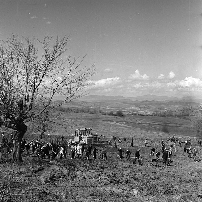 minerva_1978_c2_c6r5_033