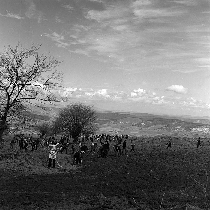 minerva_1978_c2_c6r5_034