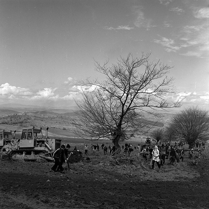 minerva_1978_c2_c6r5_035