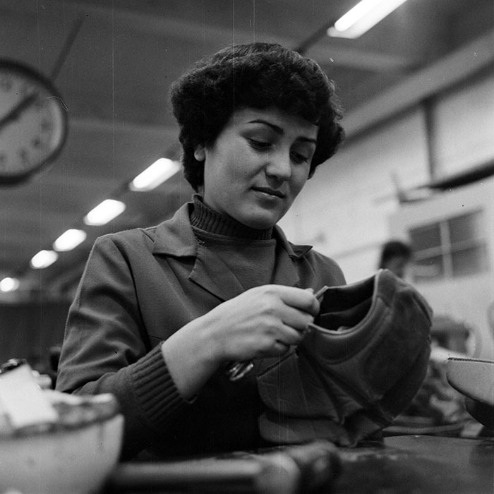 minerva_1978_c2_c7r1_007