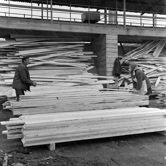 minerva_1978_c2_c7r2_008