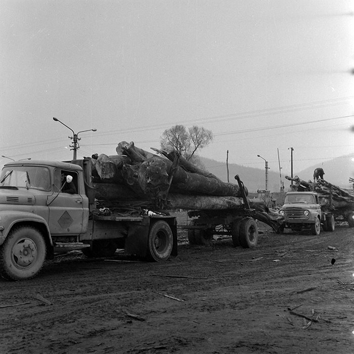 minerva_1978_c2_c7r2_011