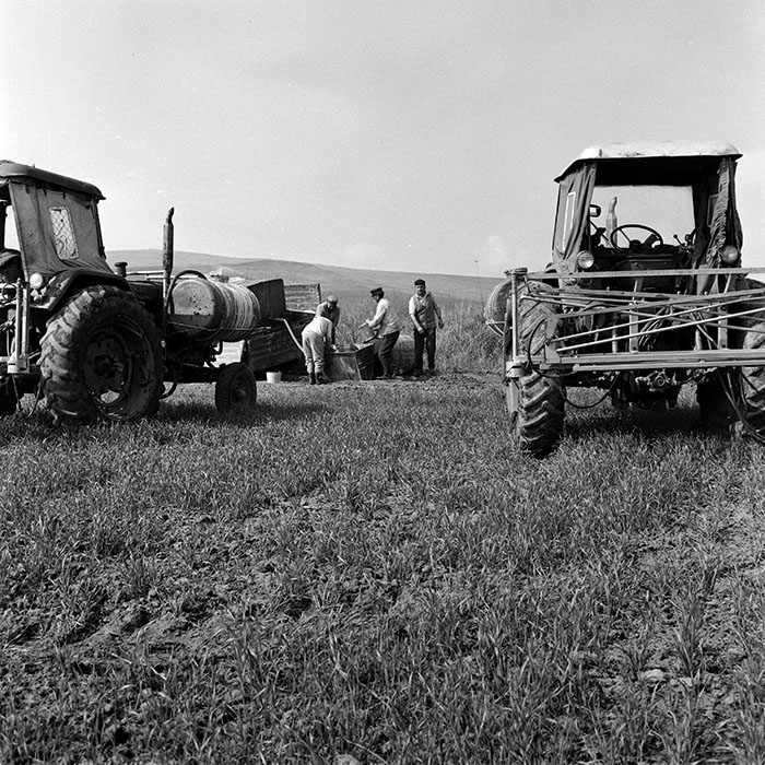 minerva_1978_c2_c7r4_001