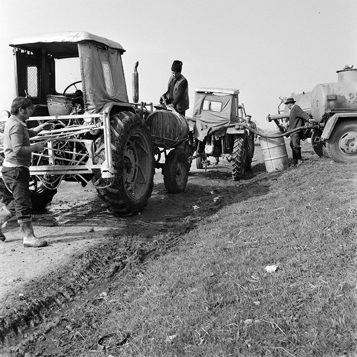 minerva_1978_c2_c7r4_003