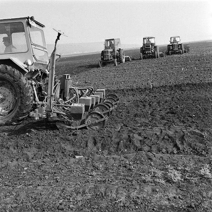 minerva_1978_c2_c7r4_005