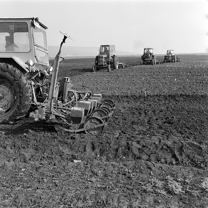 minerva_1978_c2_c7r4_006