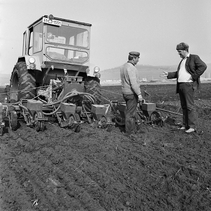 minerva_1978_c2_c7r4_008