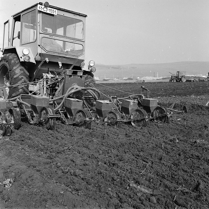 minerva_1978_c2_c7r4_009