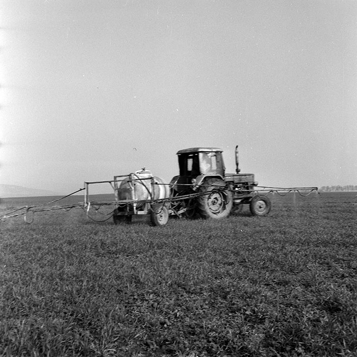 minerva_1978_c2_c7r4_010