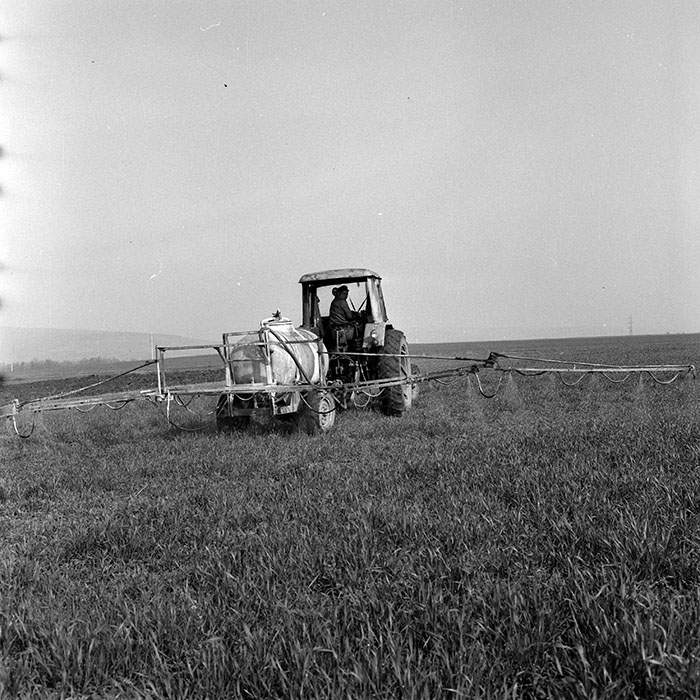 minerva_1978_c2_c7r4_011