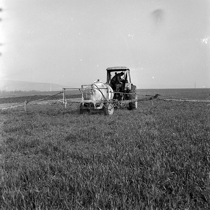 minerva_1978_c2_c7r4_012