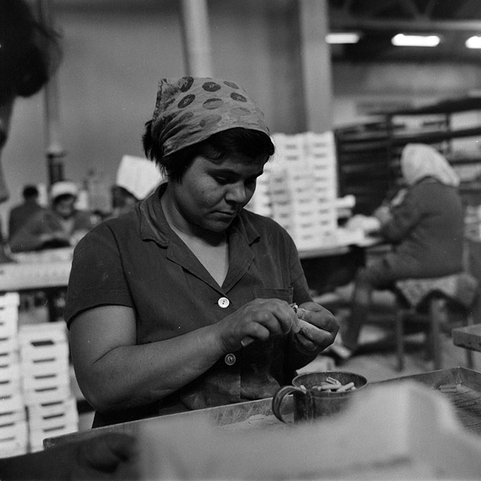 minerva_1978_c2_c7r5_018