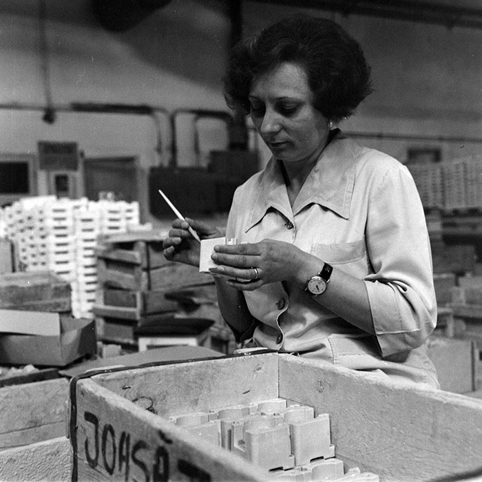 minerva_1978_c2_c7r5_021