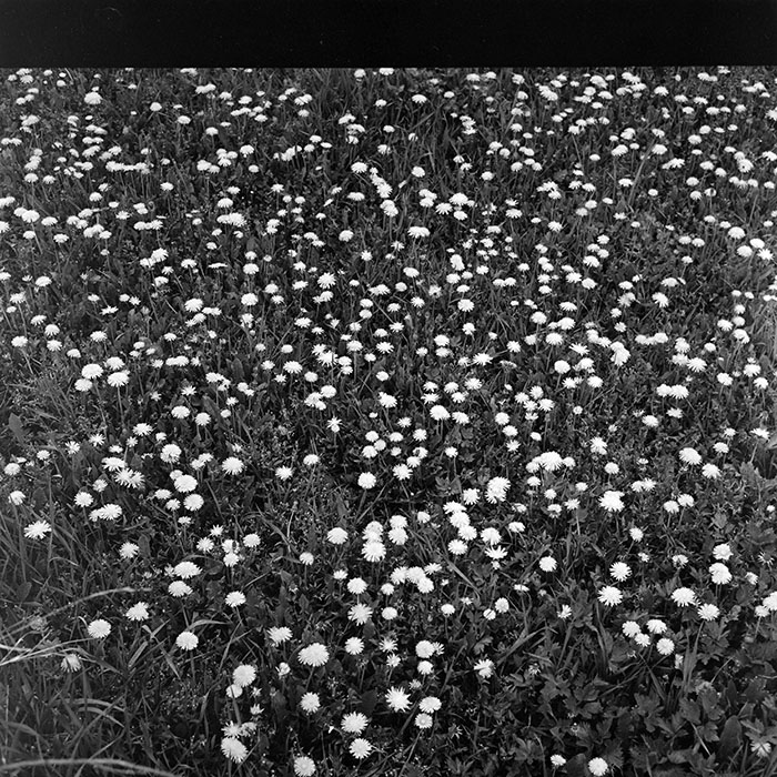 minerva_1978_c2_c8r2_012