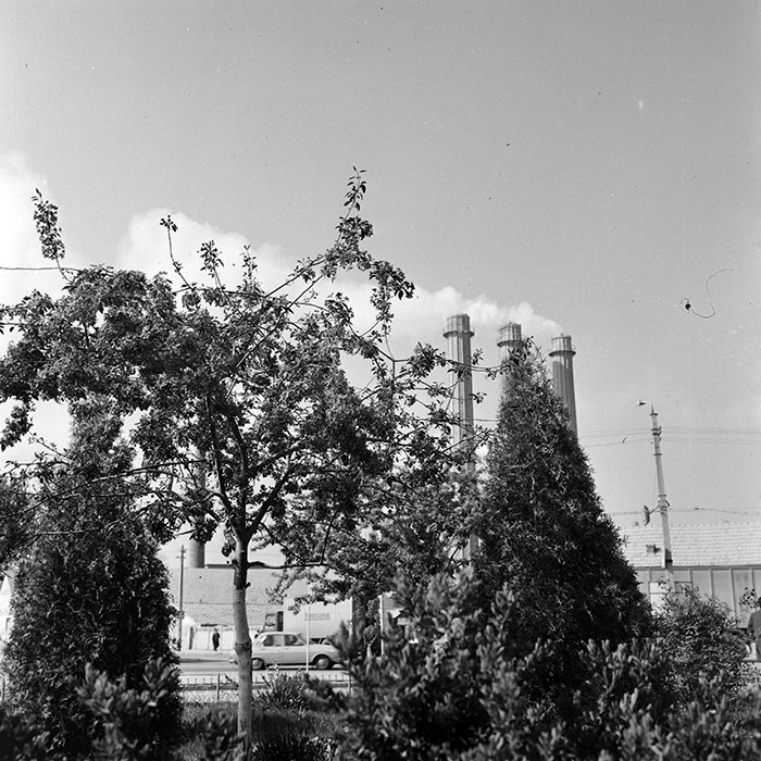 minerva_1978_c2_c8r2_015