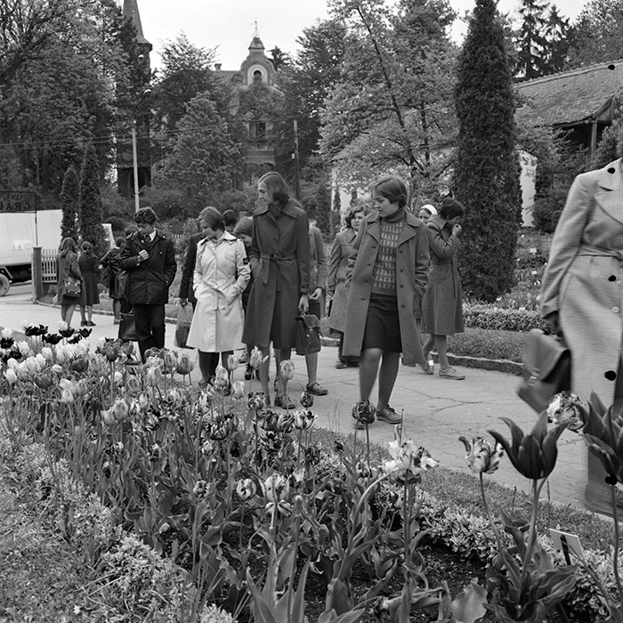 minerva_1978_c2_c8r5_003