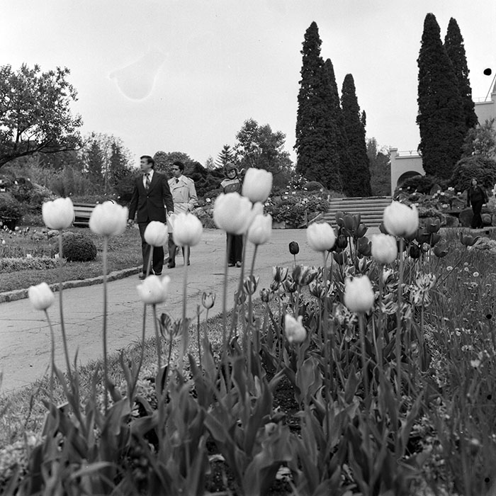 minerva_1978_c2_c8r5_007