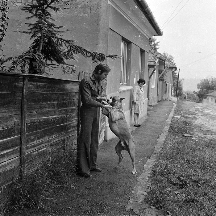 minerva_1978_c2_c9r2_001