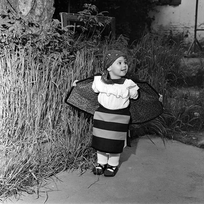 minerva_1978_c2_c9r2_009