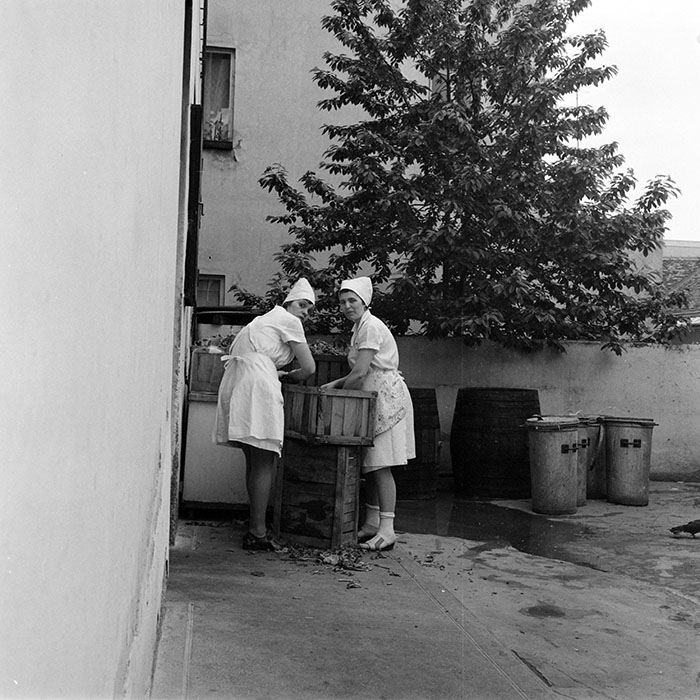 minerva_1978_c2_c9r3_009