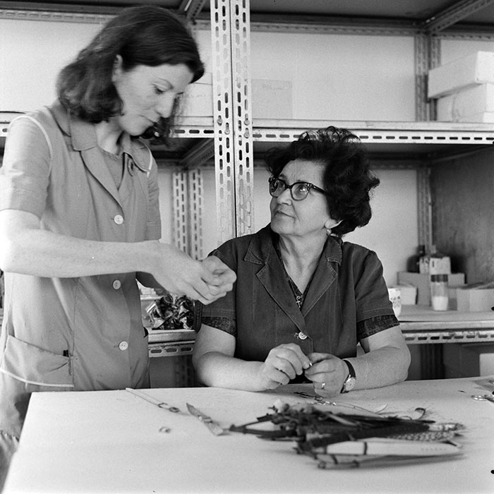 minerva_1978_c2_c9r5_005