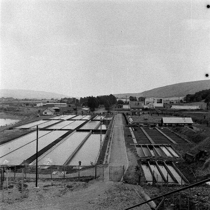 minerva_1979_c1_c10r1_029