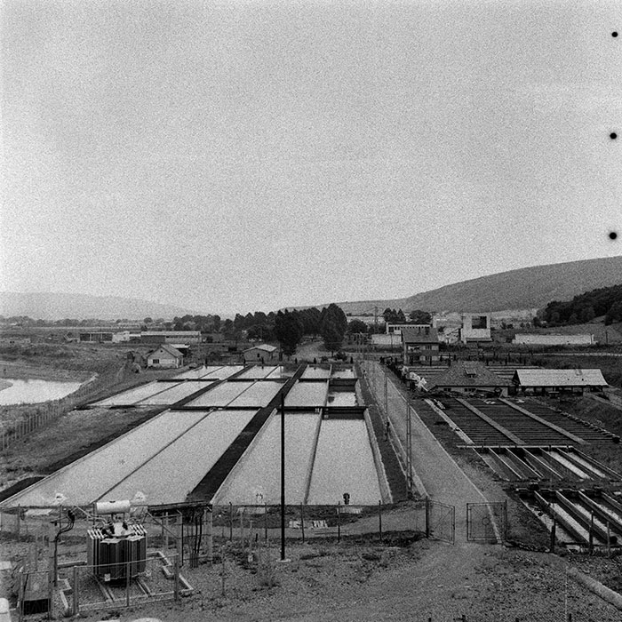 minerva_1979_c1_c10r1_030