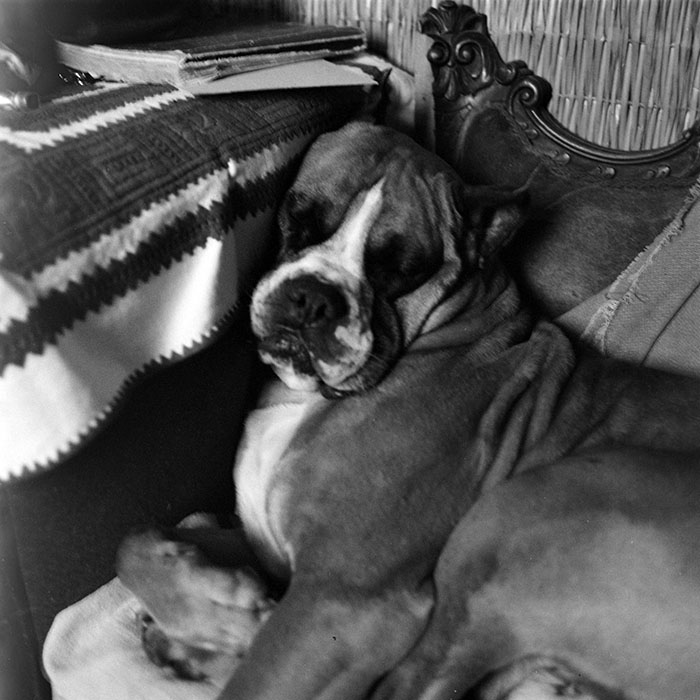 minerva_1979_c1_c10r3_004