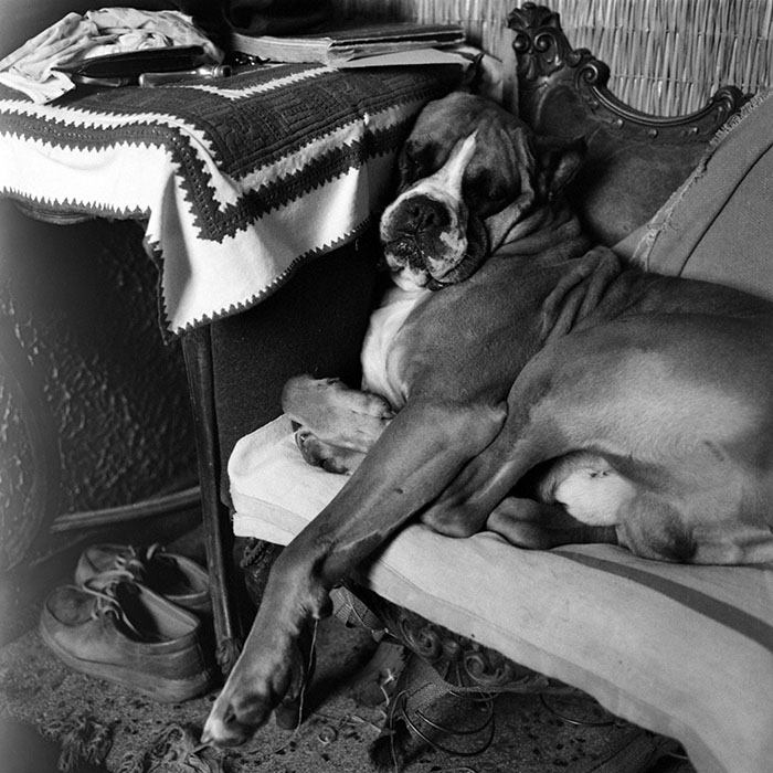 minerva_1979_c1_c10r3_005