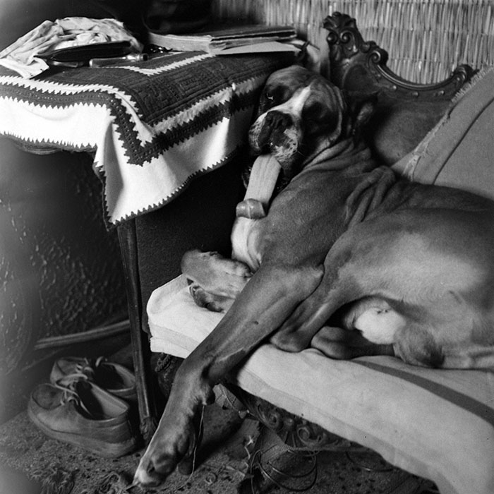 minerva_1979_c1_c10r3_006