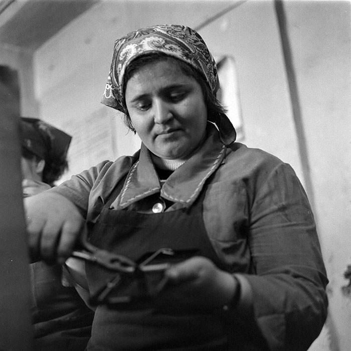 minerva_1979_c1_c1r4_017